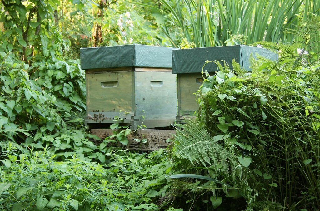 Mehrere Dadant-Beuten nebeneinander am Bienenstand