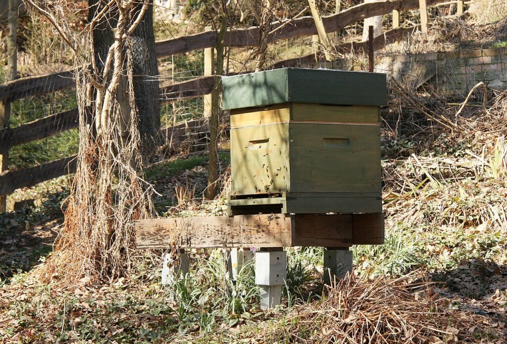 Bienenbeute am Waldrand mit Bienen am Flugloch